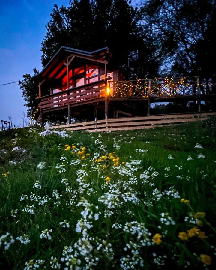 The Treehouse Of The Dragon Apartment Ioannina Exterior photo