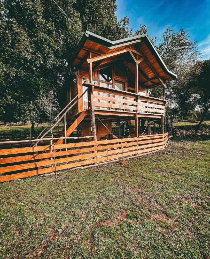 The Treehouse Of The Dragon Apartment Ioannina Exterior photo